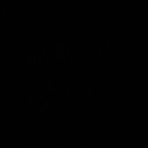 Meet your Posher, Maddie